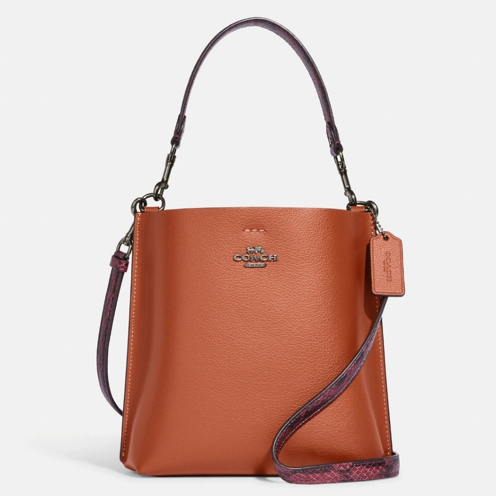 Coach Mollie Bucket Bag 22